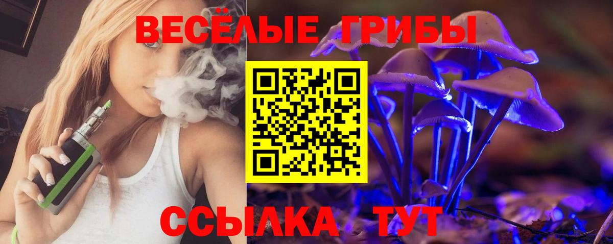 Добрянка  Псилоцибиновые грибы MAGIC MUSHROOMS  Псилоцибиновые грибы мухоморы  Вход с VPN 